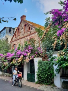 دوچرخه سواری در جزیره تور جزیره