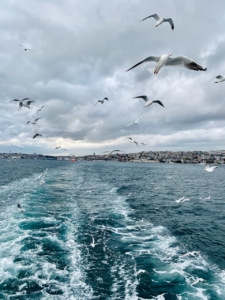 سفر دریایی همراه با خدمات تور جزیره