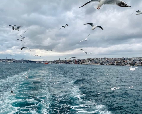 سفر دریایی همراه با خدمات تور جزیره