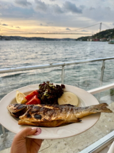 شام روی کشتی تور کشتی