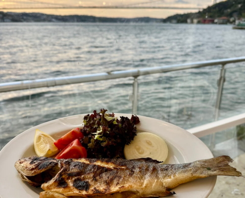 شام روی کشتی تور کشتی