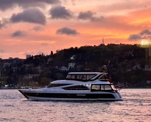 یک شب به یاد موندنی تور کشتی