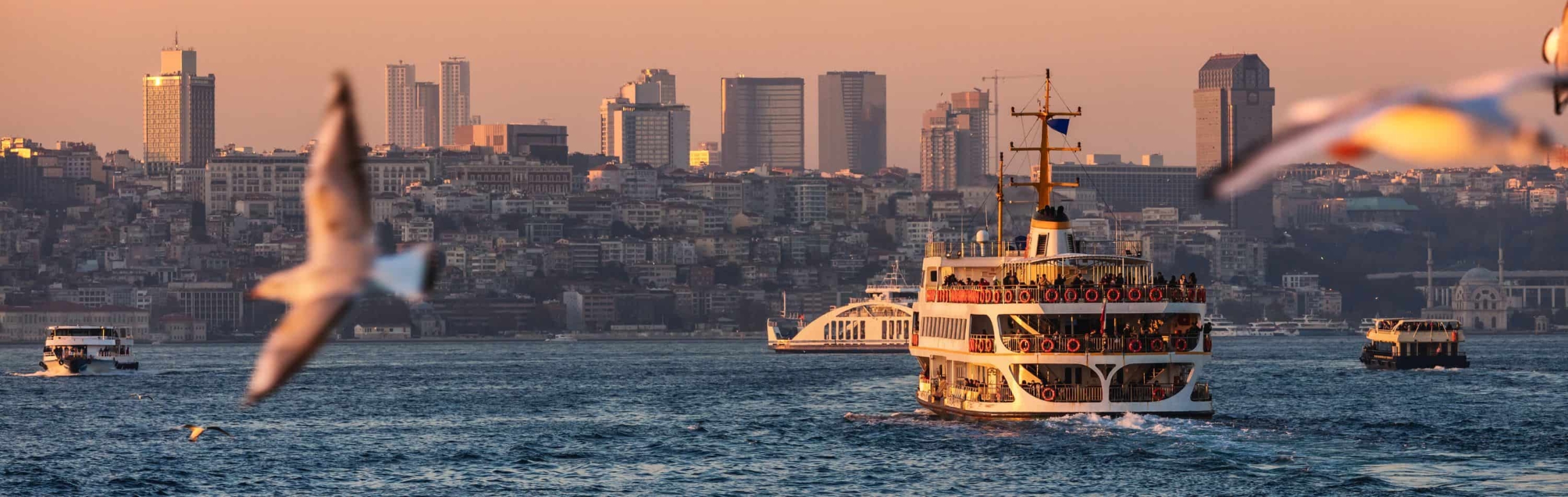 تورهای گروهی